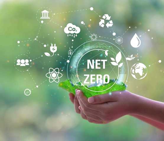 Co to jest strategia Net-Zero i jak można wdrożyć ją w firmie?